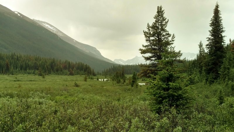 The Maligne River (center) in the Maligne River Valley, looking north from the west side of the Maligne River.