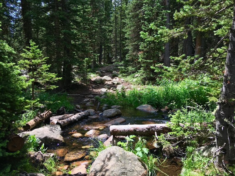 Rocky approach to stream crossing.