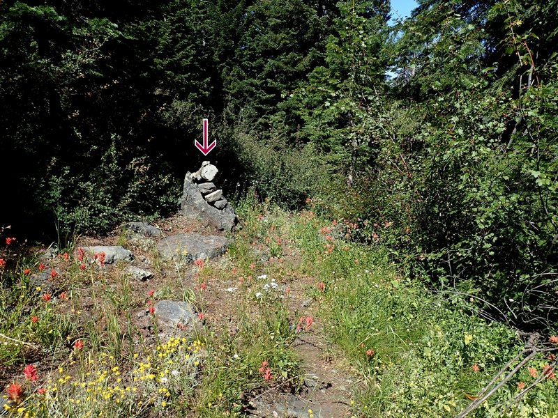 In open, vegetated areas, the trail is marked by large cairns (arrow).