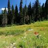 The junction with the Boundary Trail in Grass Valley is marked only with a cairn (under the arrow).