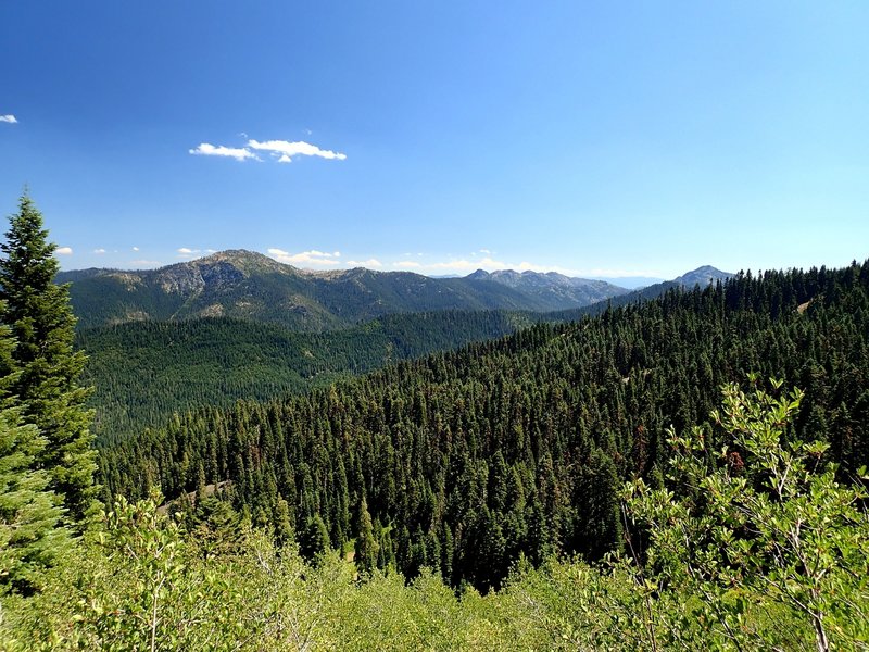 Arnold Mountain from the Boundary Trail.