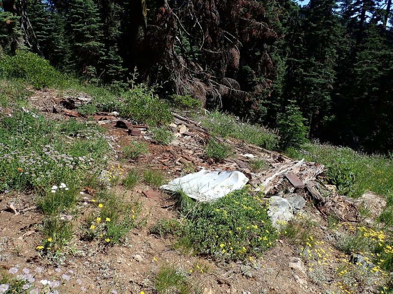 All that remains of Denham Cabin.