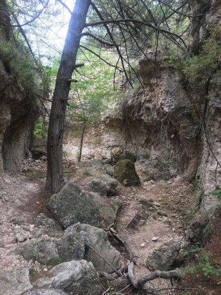 Boulders in the trail