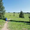 A beautiful meadow near the beginning of the trail.