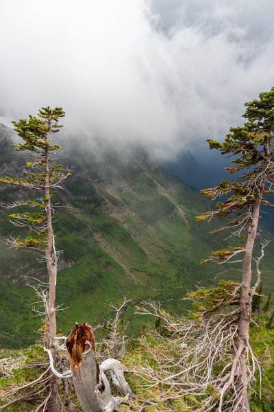 A peak through the clouds and tree down towards Logan Creek.