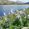 Ptarmigan Lake