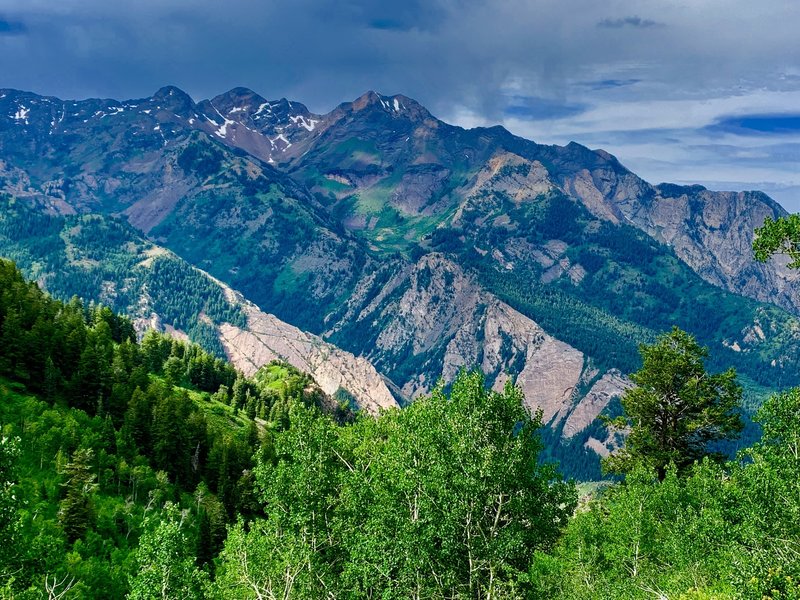 View of Broad's Fork Twin Peaks, Sunrise and Dromedary from Mill B trail.