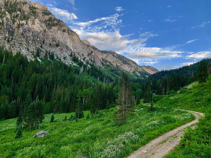 Heading up Mill D South Fork, from Donut Falls