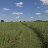 Trail through the prairie