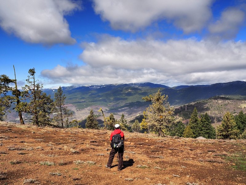 The Siskiyou Crest from Rhyolite Ridge