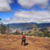 The Siskiyou Crest from Rhyolite Ridge