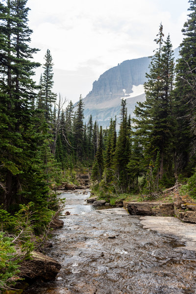 Siyeh Creek with Piegan Mountain in the background.