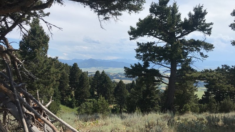 Summit of Sypes Canyon trail.