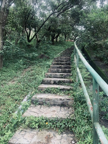 The beginning of the hike, take these stairs