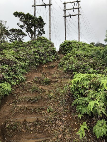 Trail at one of the steep ascents