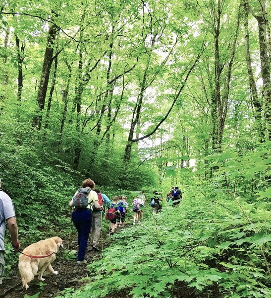 A group of hikers works there way up from Mud Gap to Whigg Meadow on this kid and dog friendly trail.