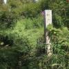 Beginning of the summer trail.  Beat through the tall grass to find you way.  The summer trail is a sweet narrow singletrack and avoids the bogs on the winter trail.