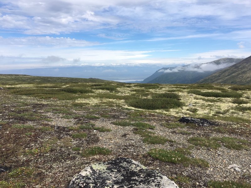 Hiking along the ridgetop over the delicate vegitation with great space and views.