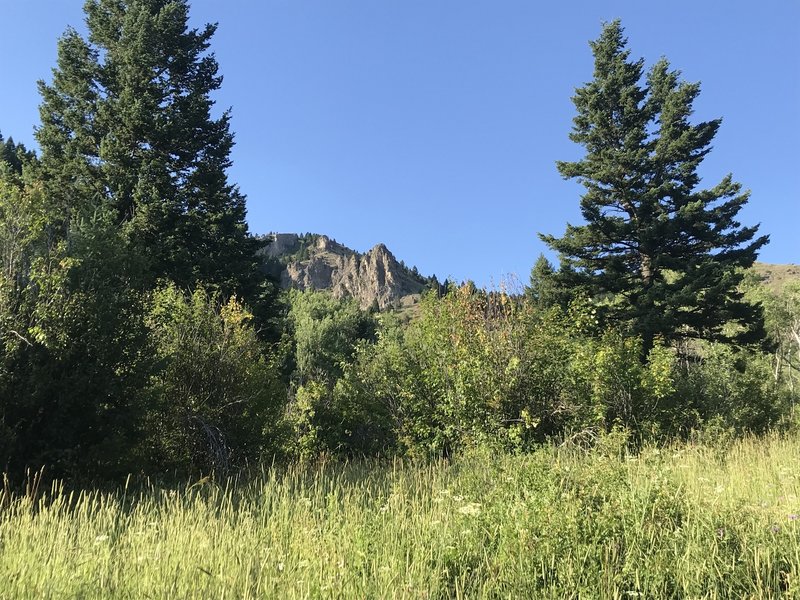 Hiking up the trail