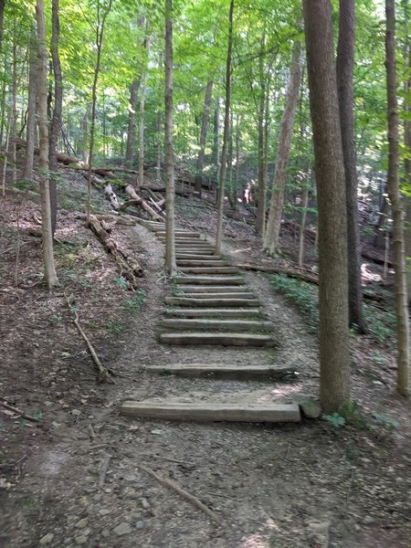 The stairs near the trailhead