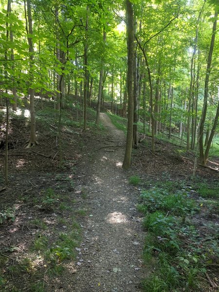 Furnace Run trail, CVNP