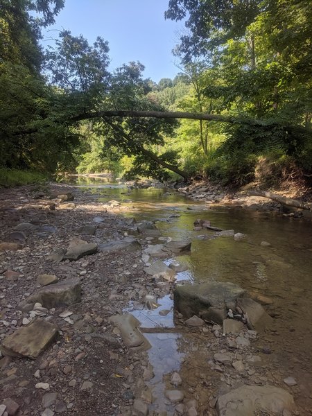 Furnace Run trail, CVNP