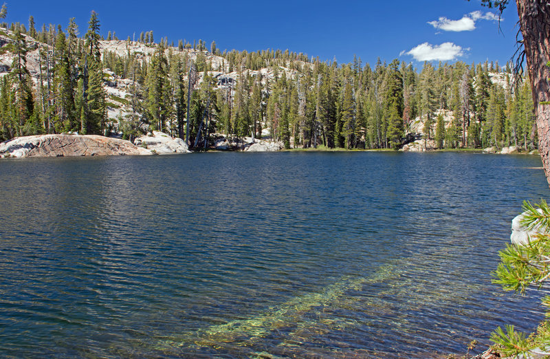 Lower Jackass Lake