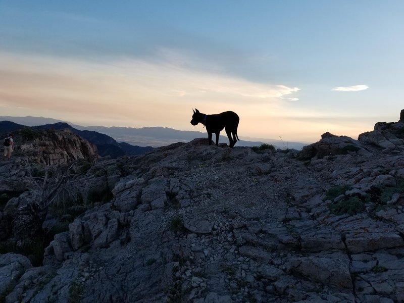 Valley overlook at dusk on Mt. Naomi