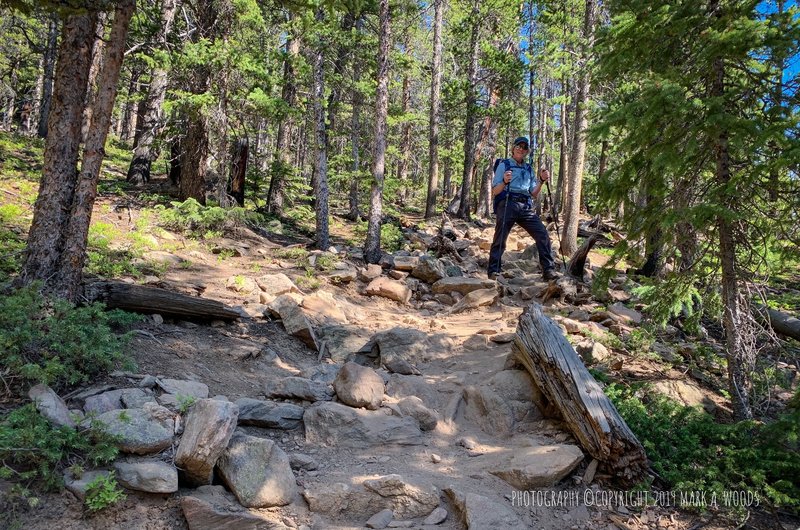 North Mount Elbert Trail