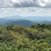 Grandfather Mountain from Elk Knob summit trail