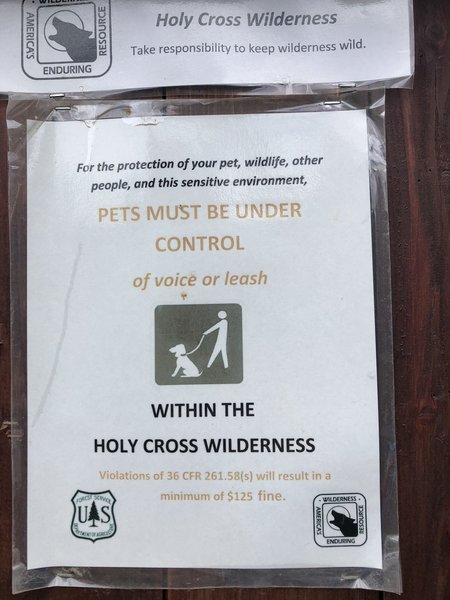 Rules for dogs in the Holy Cross Wilderness. Voice control permitted.