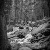 Longs Peak Trail, 10,150 feet, nice place to relax on your way up!