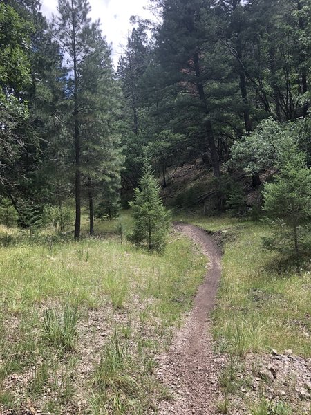 Bailey Canyon Trail