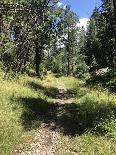 Bailey Canyon Trail