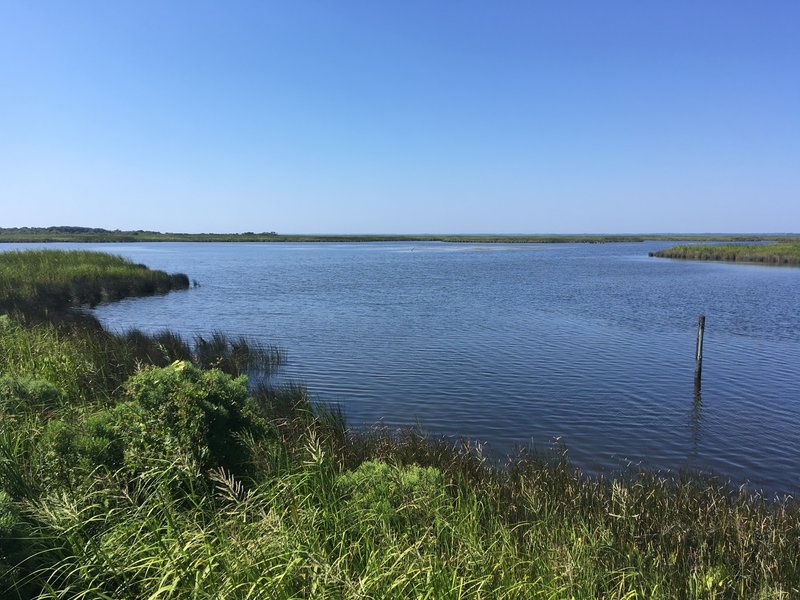 First overlook of the sound on the Audobon Pine Island Nature Trail