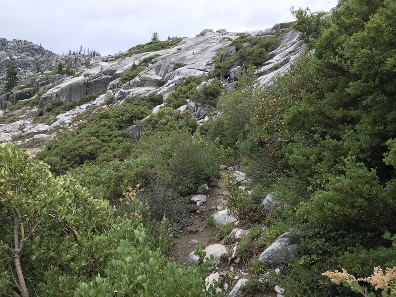 Boulder Creek Lakes Trail