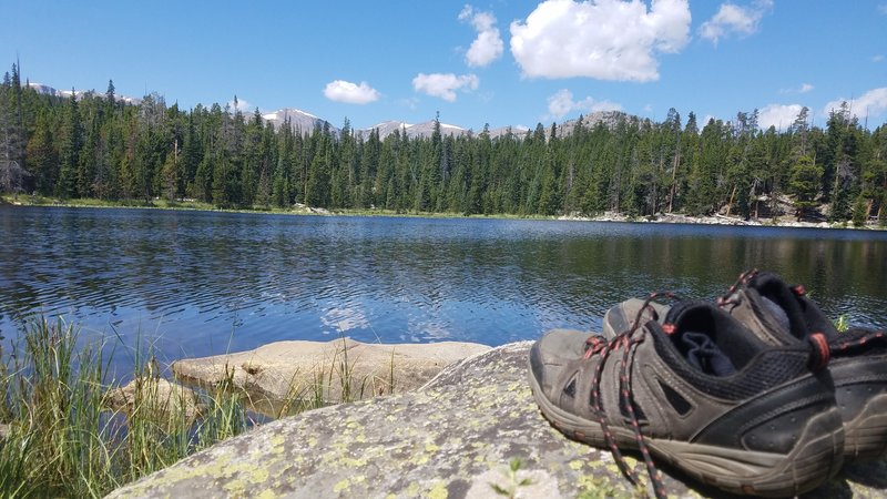 Swimming in the lake