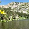 Crater Lakes Trail