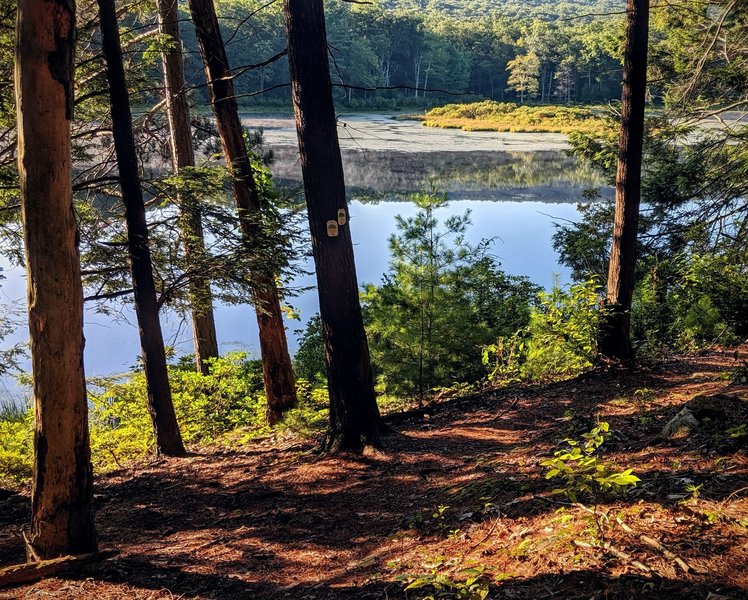 An early morning view of Stony Lake in Stokes State Forest, NJ.