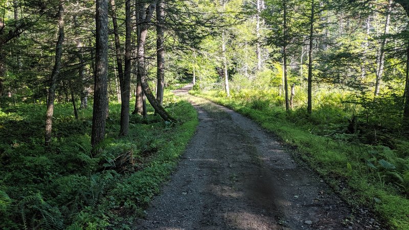 Sections of Tinsley Trail turn to doubletrack, but keeps it's backwoods feel throughout.