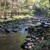 Big Flat Brook meanders alongside Blue Mountain Trail in Stokes State Forest.