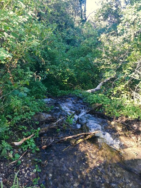 Little waterfall half way through the hike