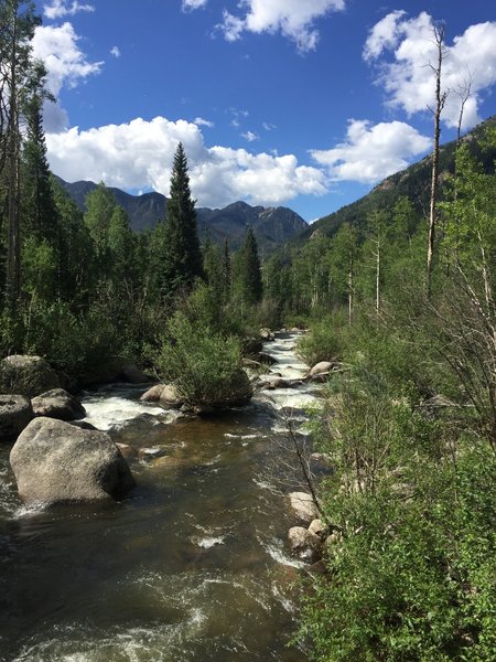 View of Pine River