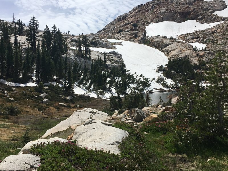 Looking up at Rockbound Pass from Lake Doris. Still quite a bit of snow in August.