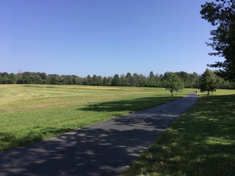 Peaceful sunny day at Audubon Town Park Trail