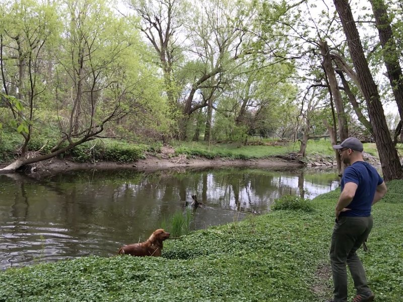 Fishing for golden retrievers in Ellicott Creek at Audubon Town Park Trail