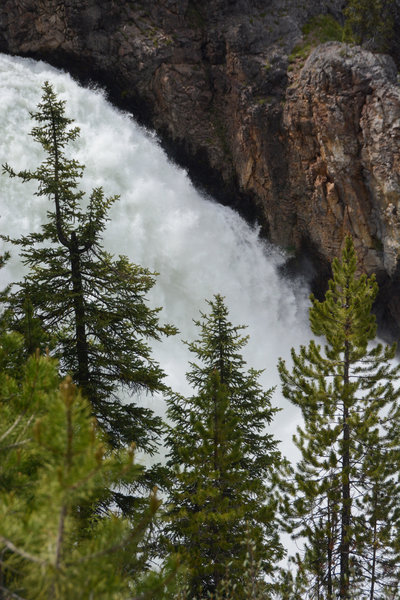 Upper Falls through pine trees from the new overlook