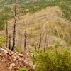 Looking down on the approach of Bear Peak West Ridge trail