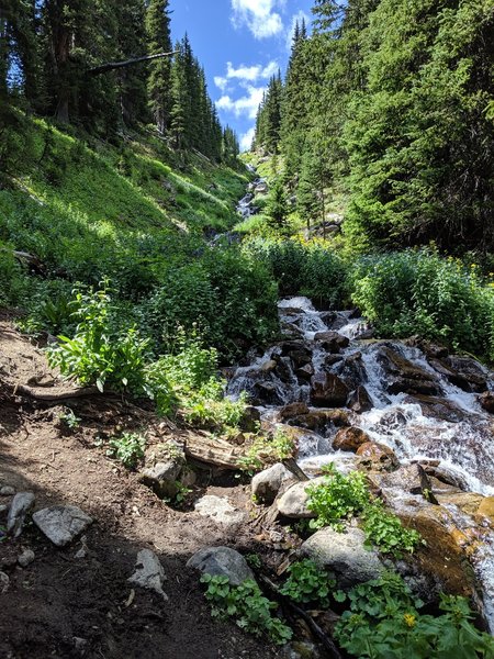 Cascading water along the trail 1 mile in