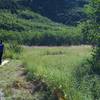 The trail crosses a field on boards that gets wet due to snow melt throughout the summer.